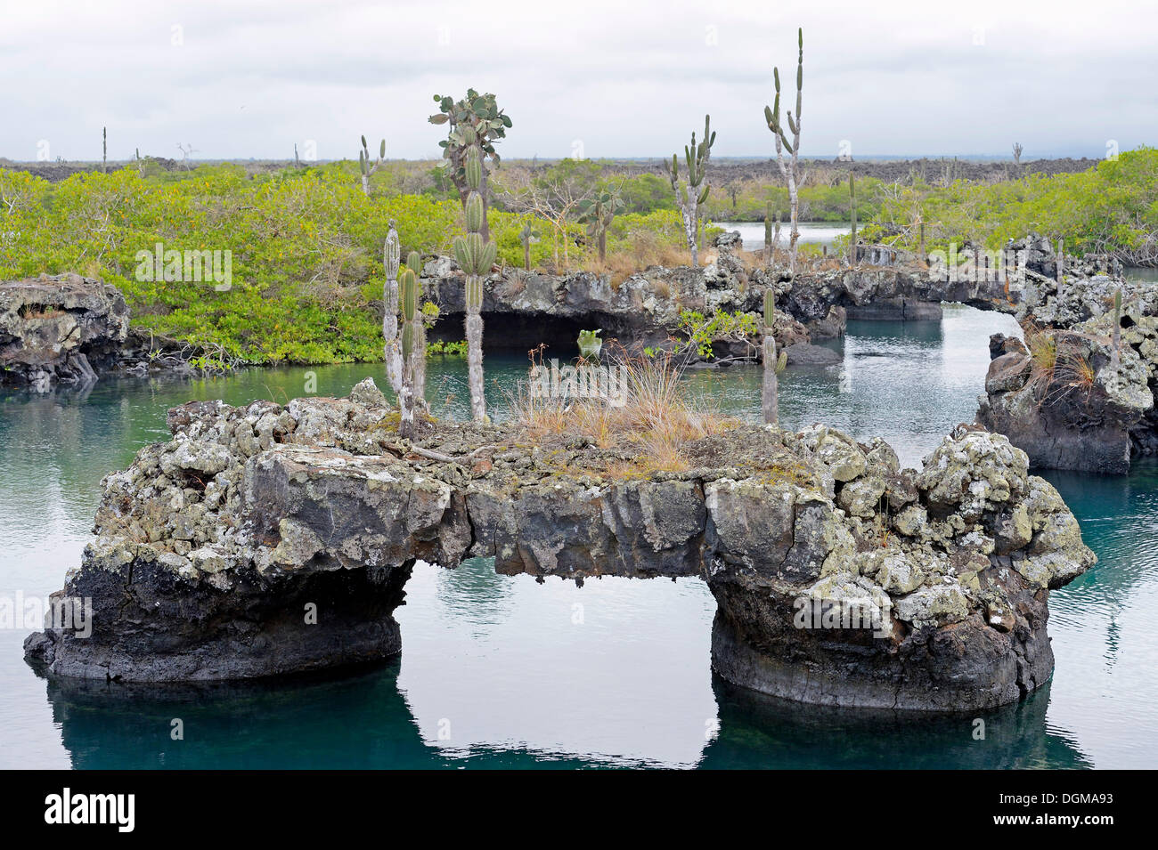 Los Tuneles Region mit Lava-Formationen und Brücken, südwestlichen Zipfel der Insel Isabela, Galapagos-Inseln, UNESCO World Natural Stockfoto