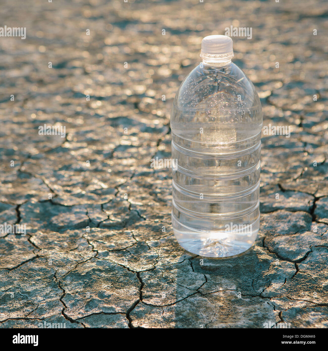 Die Landschaft der Black Rock Desert in Nevada. Eine Flasche Wasser. Gefilterte Mineralwasser. Stockfoto