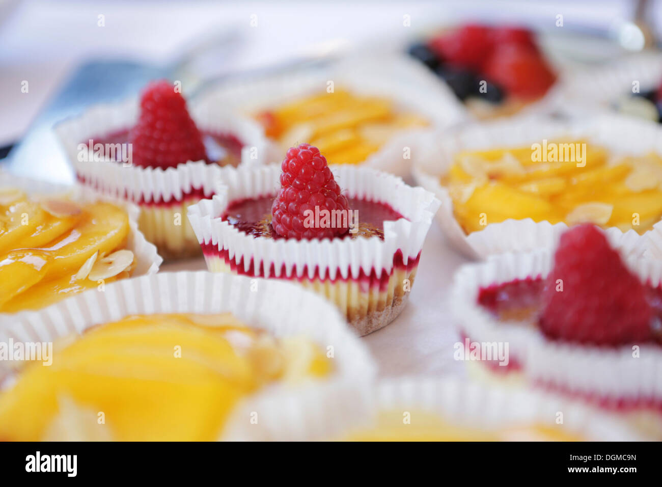 Obst-Törtchen Stockfoto