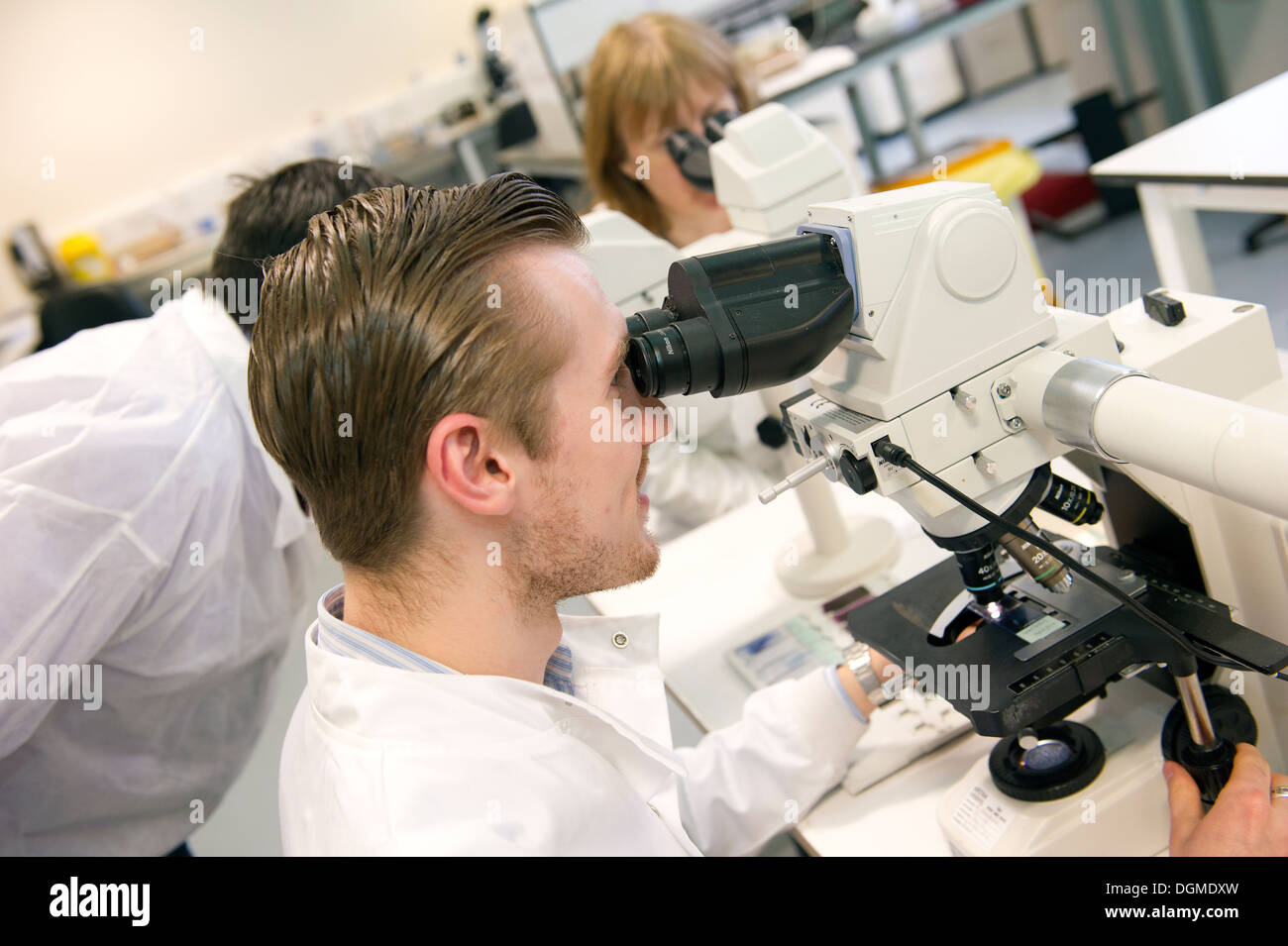 Ein männlicher Labortechniker untersucht Folien am Mikroskop am Tameside General Hospital. Stockfoto