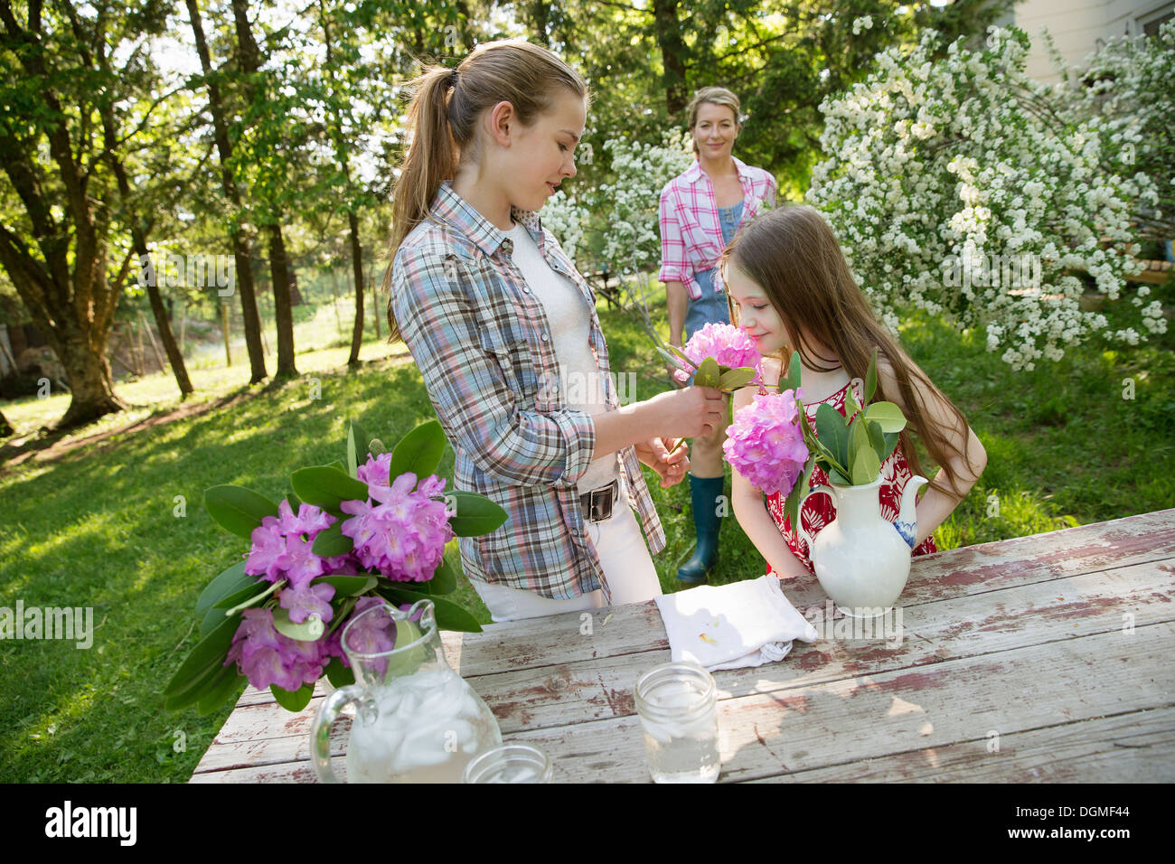 Drei Personen sammeln Blumen und ordnet sie zusammen. Eine reife Frau, ein Teenager und ein Kind. Stockfoto