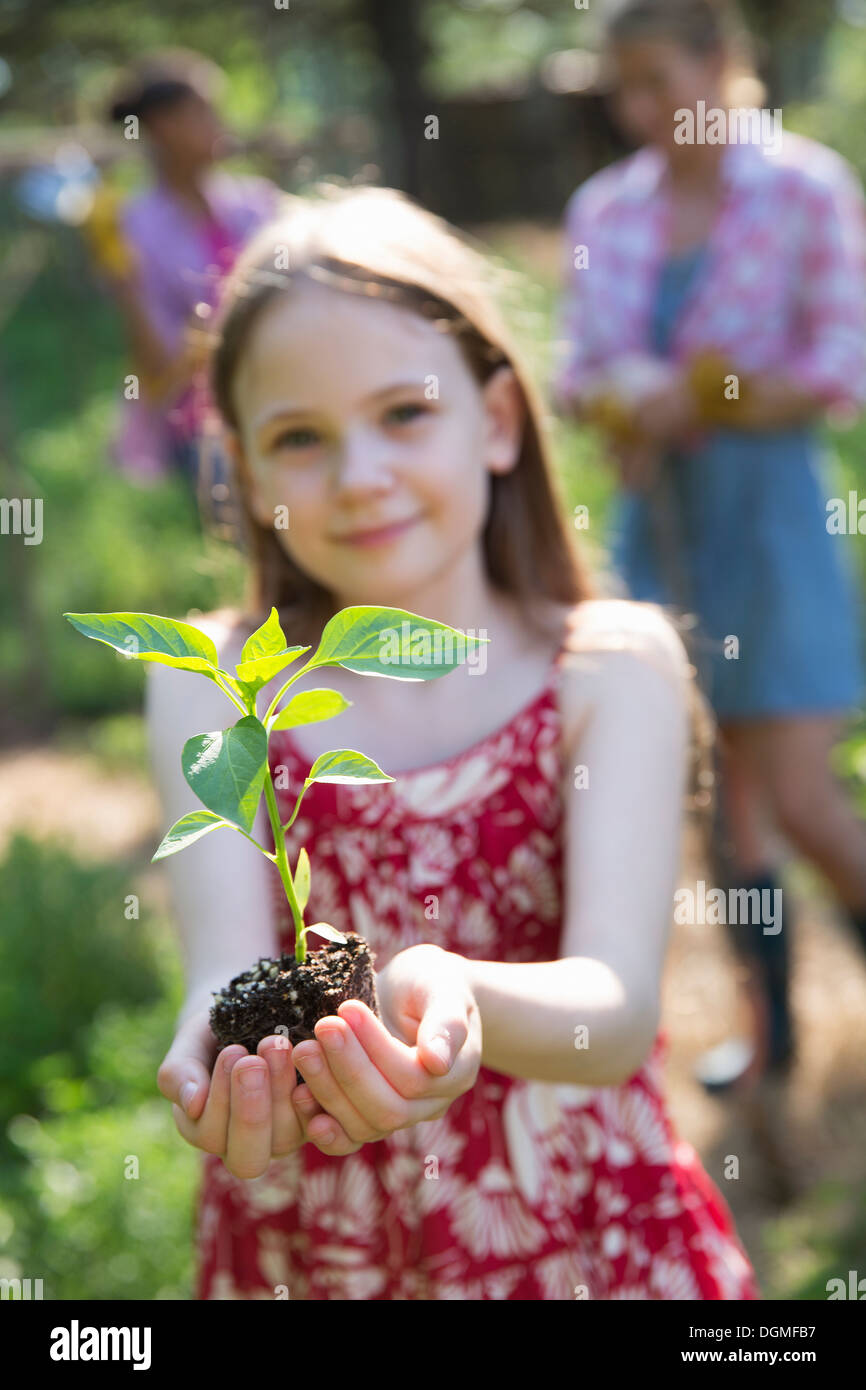 Garten. Ein junges Mädchen, eine junge Pflanze mit grünen Blättern und einem gesunden Wurzelballen in ihren Händen hält. Stockfoto