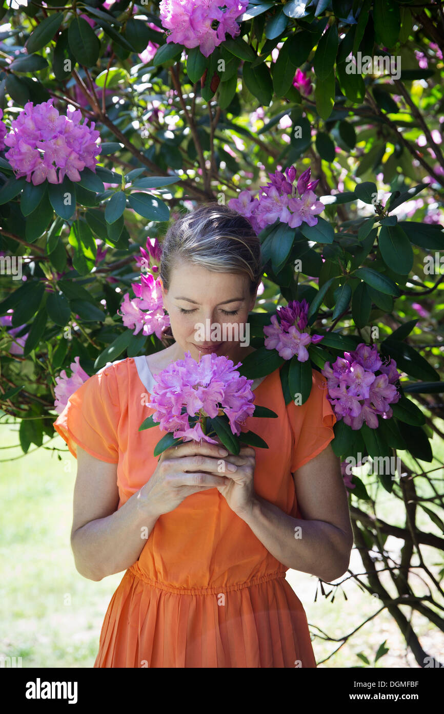 Eine Frau in einem orange Sommer Kleid unter einem Strauch stehen hält eine große lila Flowerhead. Stockfoto