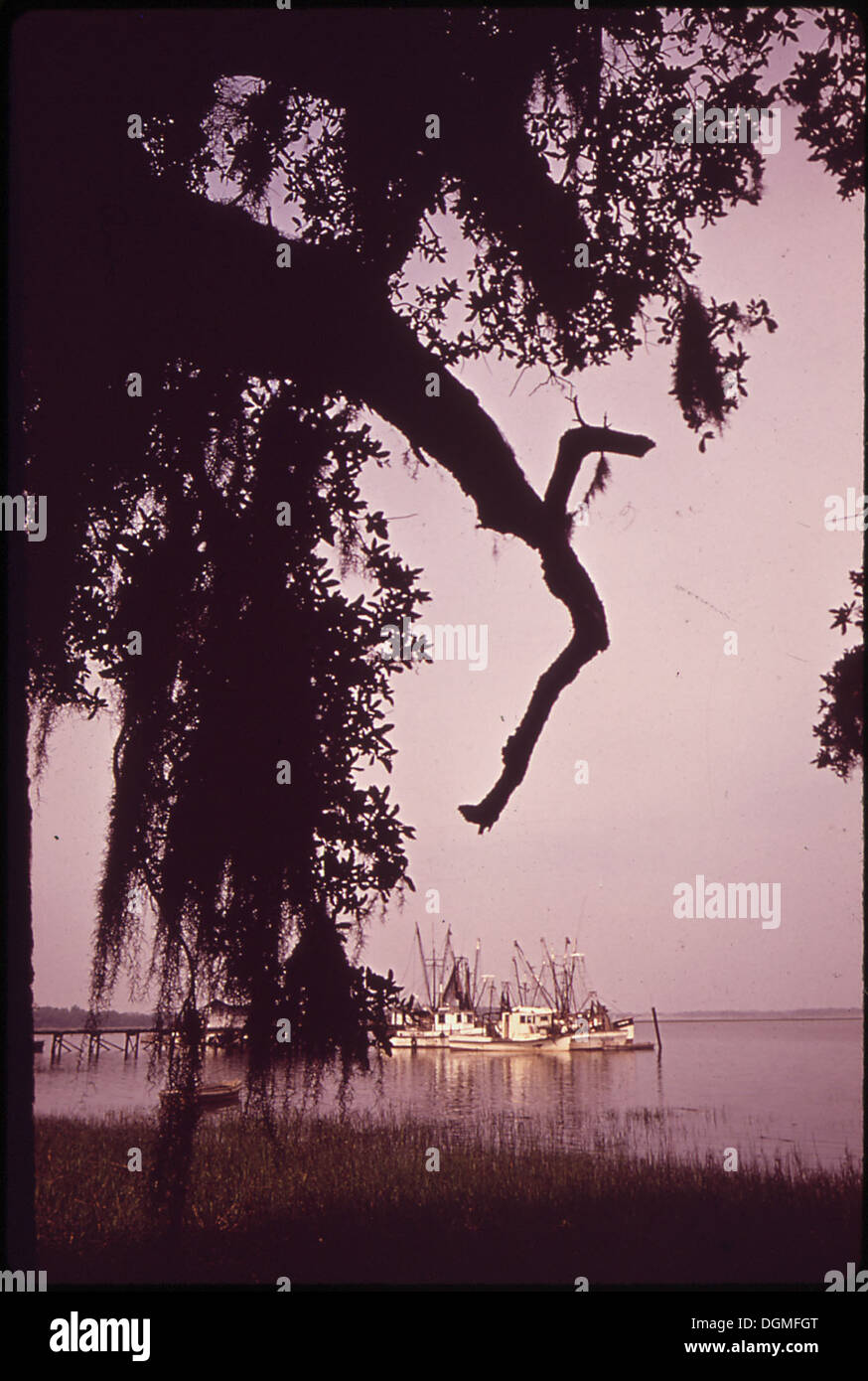Eine Garnelenflotte, die einer Black-eigenen Genossenschaft gehört, liegt vor Hilton Head Island vor Anker. Diese Flotte unterstreicht die Rolle von Unternehmen in Minderheitsbesitz in der Fischereiindustrie. Stockfoto