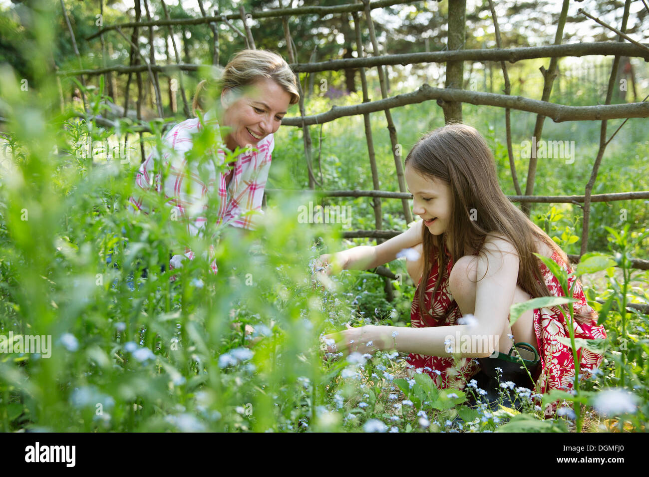 Eine Mutter und Tochter zusammen in einem Gehäuse der Anlage mit einem hausgemachten Zaun. Blumen pflücken und Pflanzen. Grünen Laub. Stockfoto