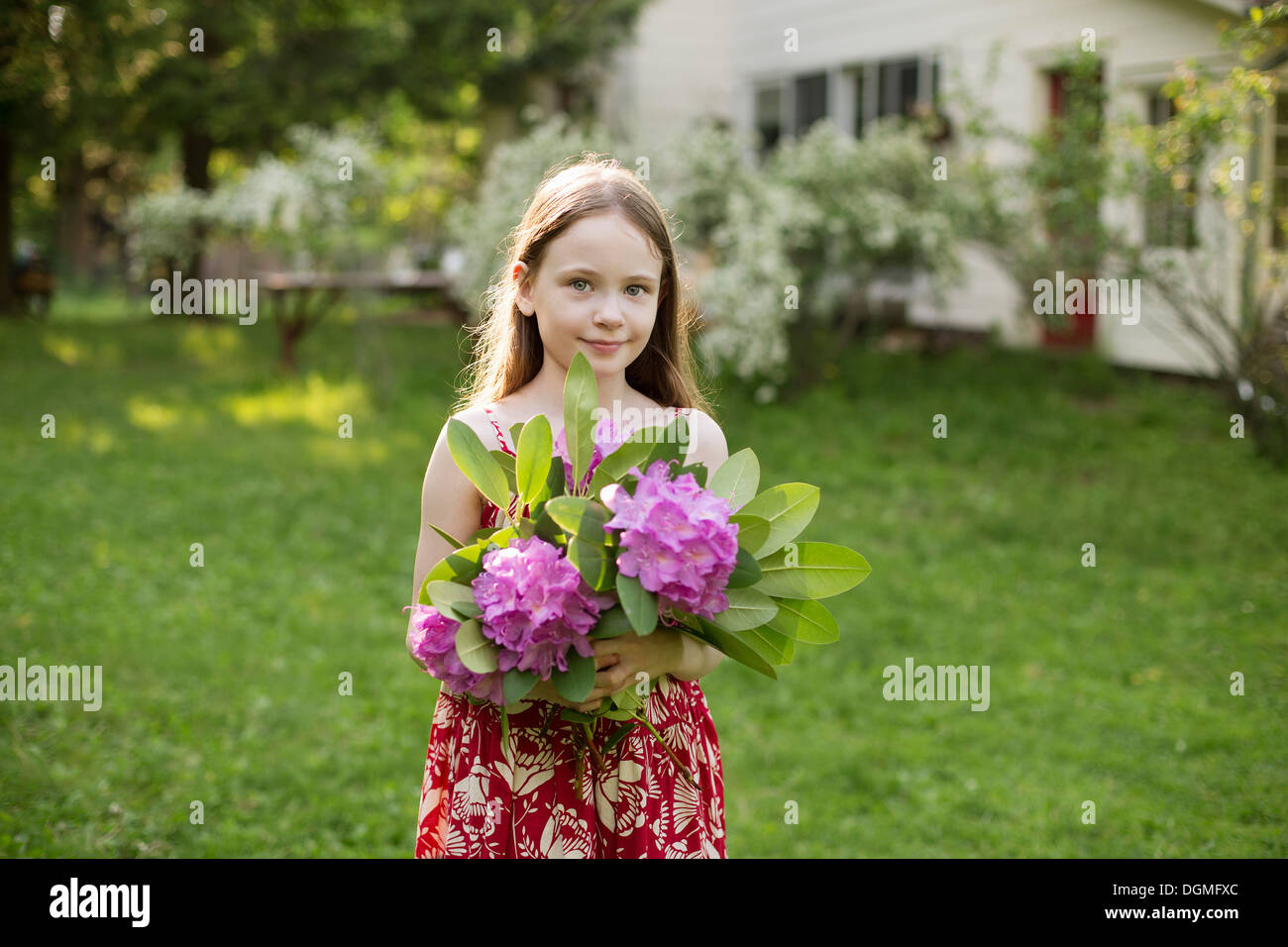 Ein junges Mädchen hält eine Reihe von lila Hortensie Flowerheads. Stockfoto