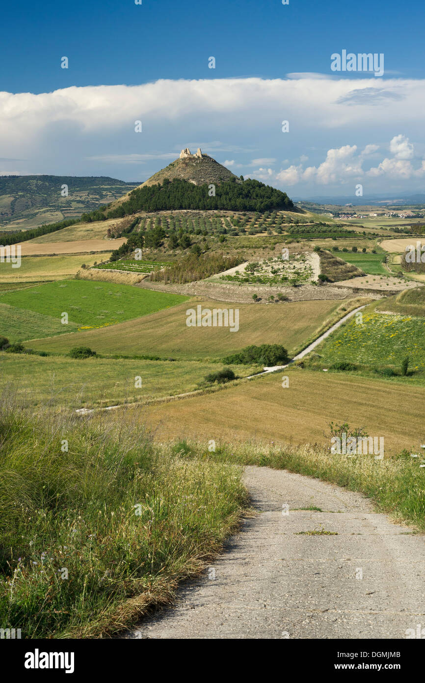 Kegelförmigen Berg Las Plassas mit spanischen Burgruine mit dem gleichen Namen vor der basaltischen Hochebene Giara di Stockfoto