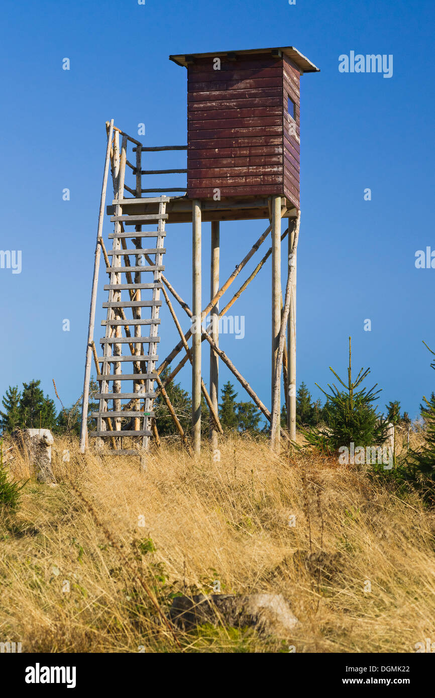 Hochsitz in der Nähe von Heiligenborn, Region Siegerland, Wittgenstein District, North Rhine-Westphalia Stockfoto