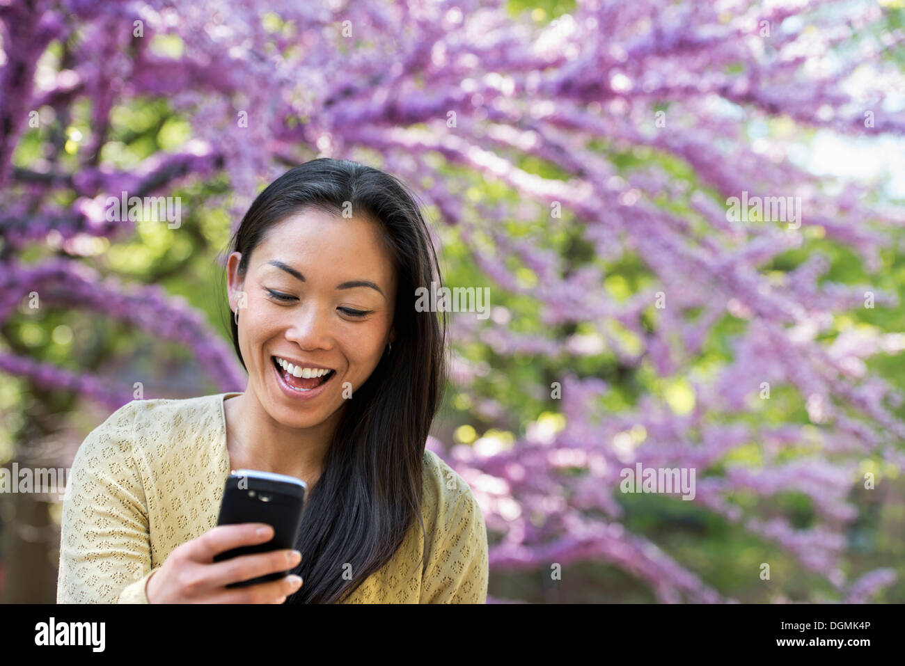 Eine Frau sitzt in einem Park mit Blick auf ihr Smartphone und lachen. Stockfoto