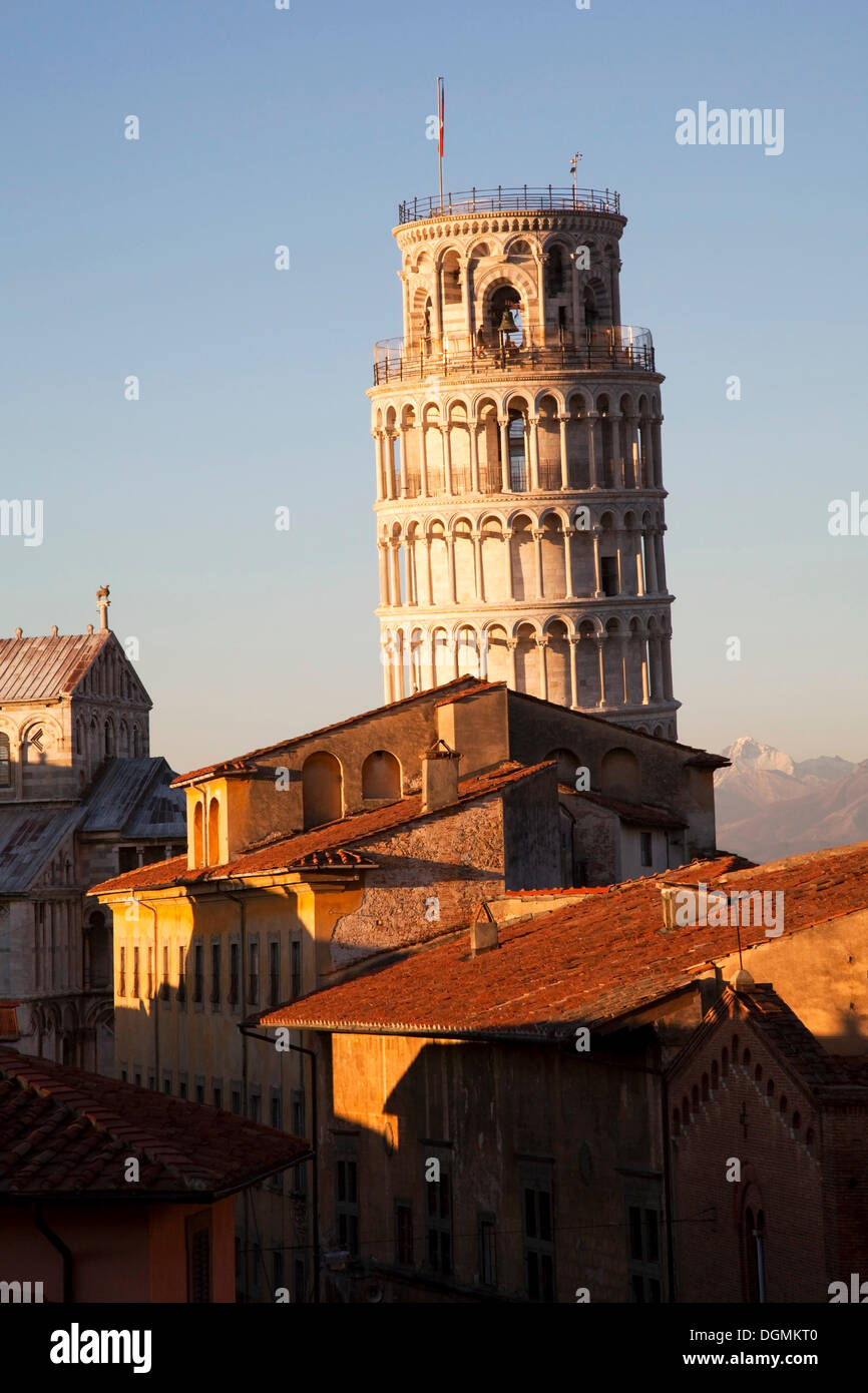 Campanile, der schiefe Turm von Pisa, Pisa, Provinz Pisa, Toskana, Italien Stockfoto