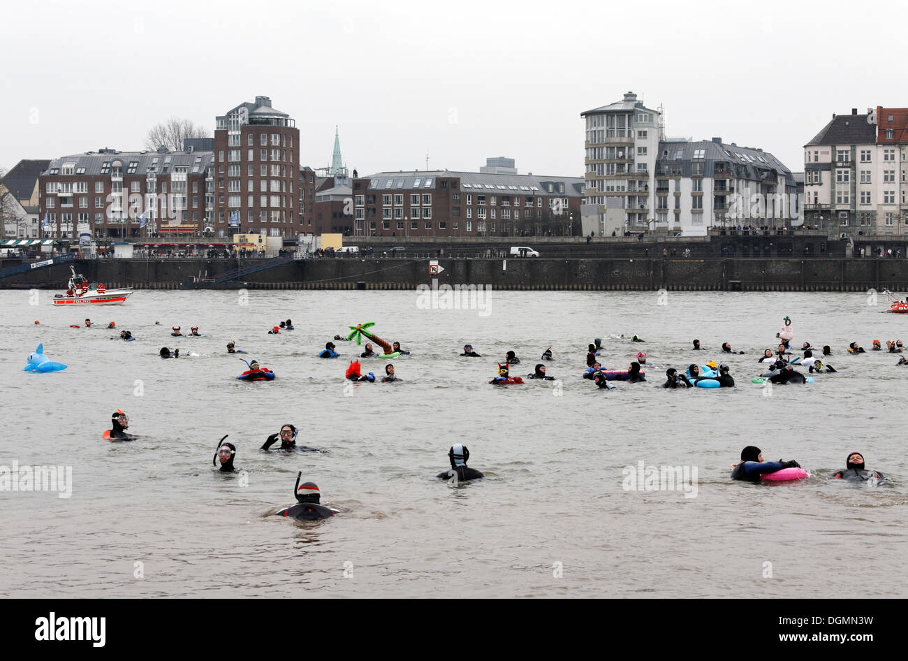 Rettungsschwimmer, Schwimmen in den Rhein bei der DLRG Neujahr schwimmen Wettbewerb, Düsseldorf, Nordrhein-Westfalen Stockfoto