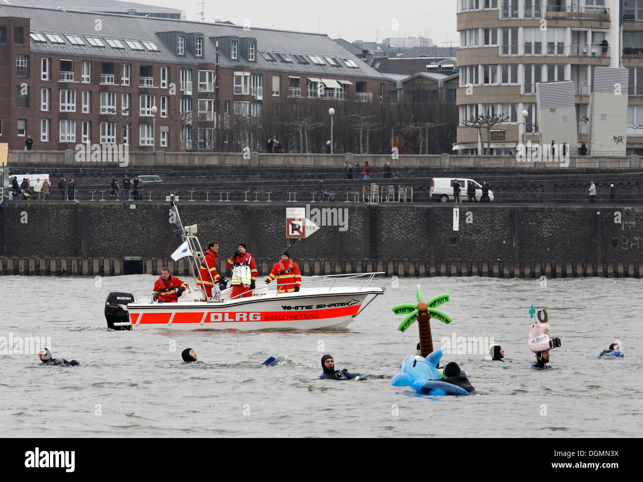 Rettungsschwimmer, Schwimmen in den Rhein, begleitet von einem Rettungsboot, DLRG Neujahr schwimmen Wettbewerb, Düsseldorf Stockfoto