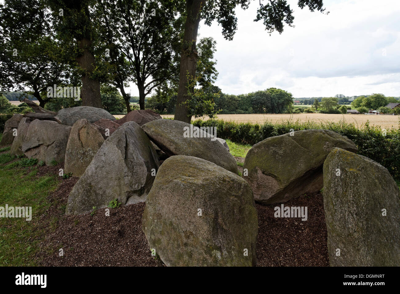 Jeggen megalithischen Grab, Grabstätte aus der neolithischen Periode, Osnabrücker Land/Region, Niedersachsen Stockfoto