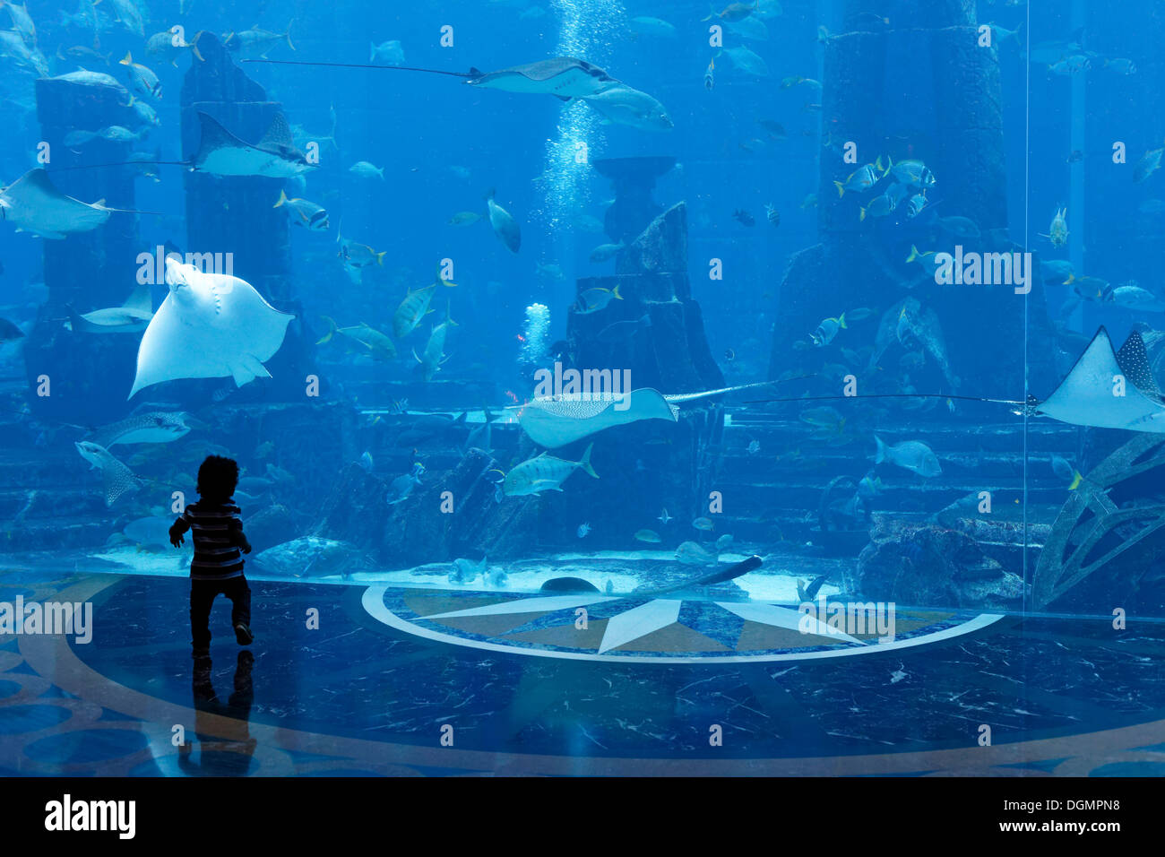 Kleines Kind beobachten Stachelrochen in ein gigantisches Aquarium, Unterwasser-Welt der Ambassador Lagoon, Atlantis Hotel Stockfoto