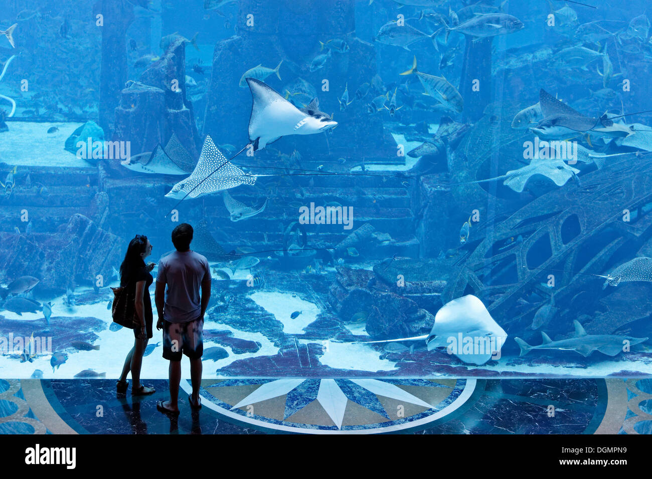 Paar beobachten Stachelrochen in ein gigantisches Aquarium, Unterwasser-Welt der Ambassador Lagoon, Hotel Atlantis, The Palm Jumeirah Stockfoto