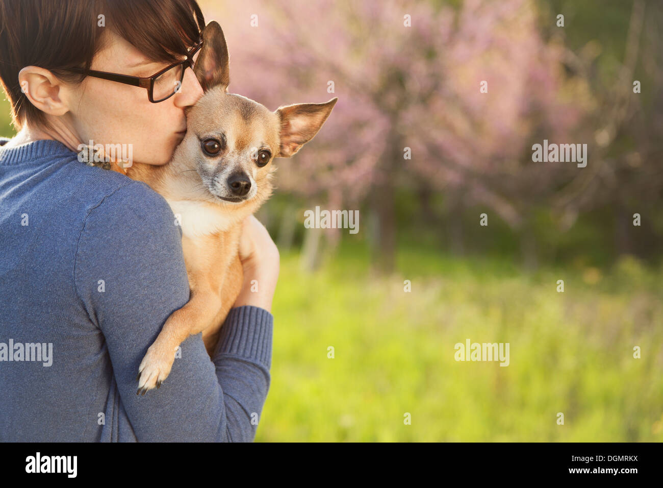 Eine junge Frau auf einer Wiese im Frühjahr. Einen kleinen Chihuahua Hund hält in ihren Armen. Ein Haustier. Stockfoto