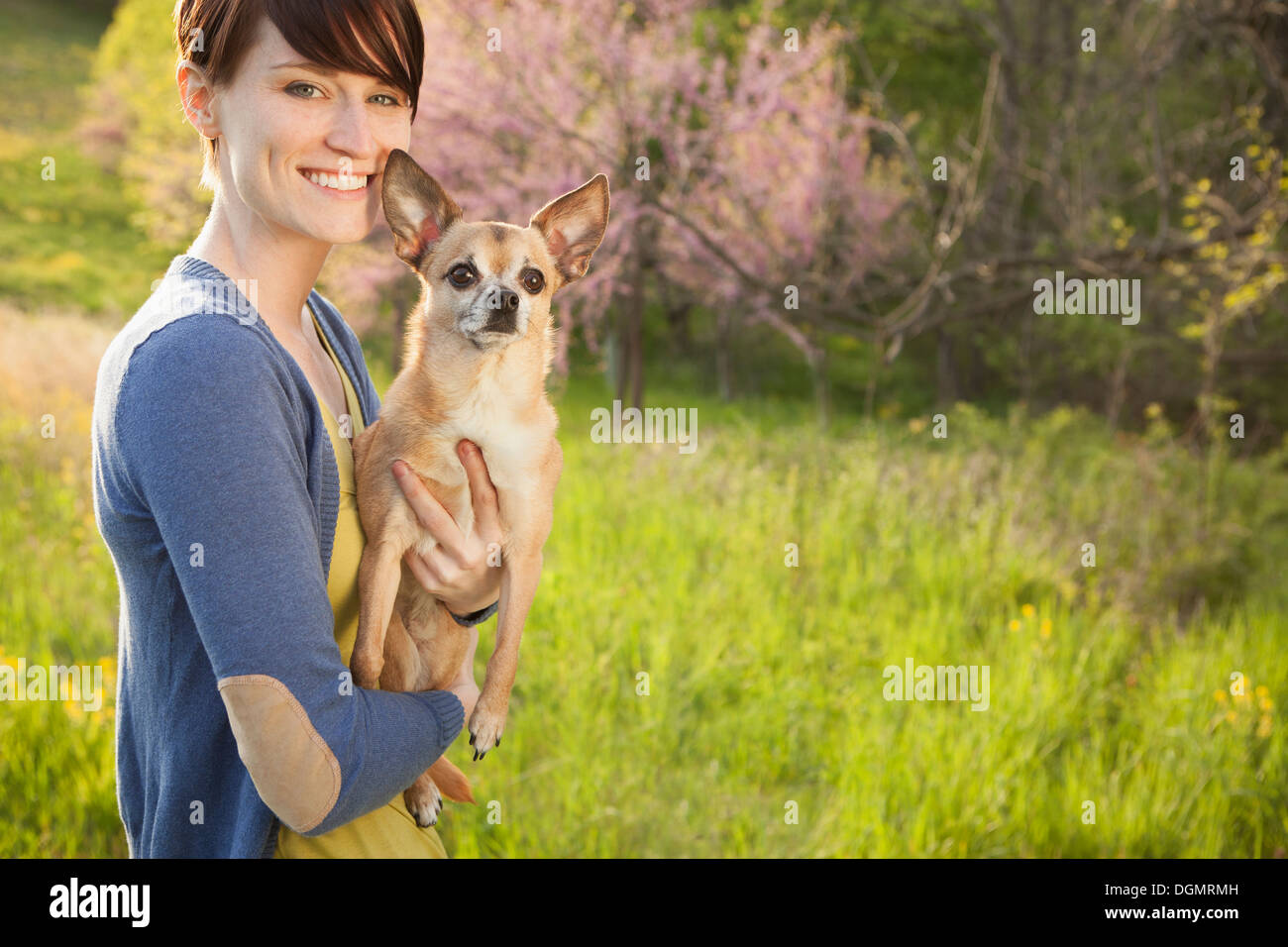 Eine junge Frau auf einer Wiese im Frühjahr. Einen kleinen Chihuahua Hund hält in ihren Armen. Ein Haustier. Stockfoto