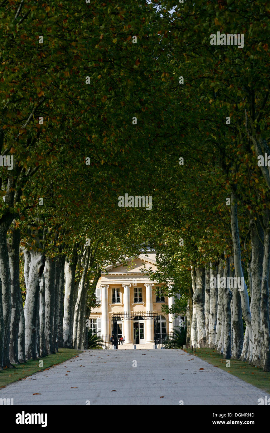 Chateau Margaux Eingang, Platanen, berühmten Weinberg, Medoc, Bordeaux, Aquitanien, Frankreich Stockfoto