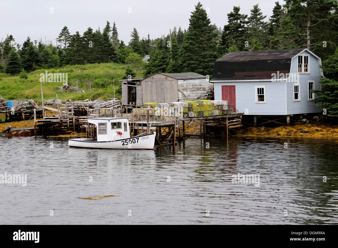 Hummer-Boot, kleiner Hafen, Ostufer, Seeprovinzen, Nova Scotia, Kanada Stockfoto