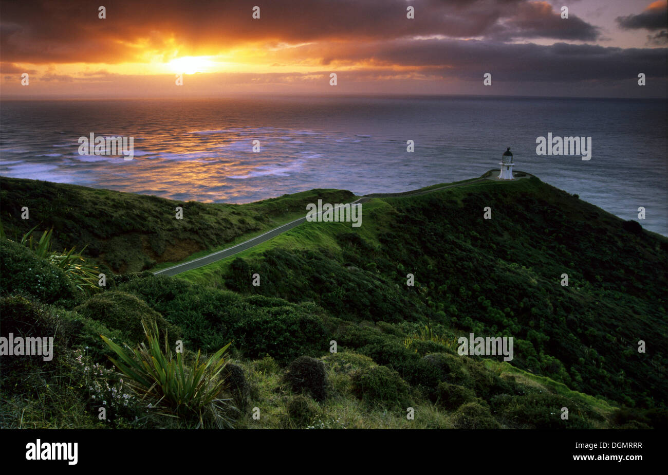 Leuchtturm am Cape Reinga, Northland, Aupouri-Halbinsel, Nordinsel, Neuseeland Stockfoto