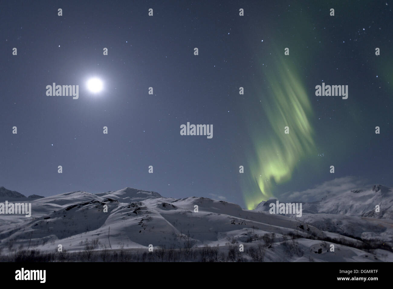 Polarlichter (Aurora Borealis) und der Mond über dem Sildpollheia Berg in der Nähe von Sildpollneset, Austnesfjorden, Austvagoya, Lofoten Stockfoto