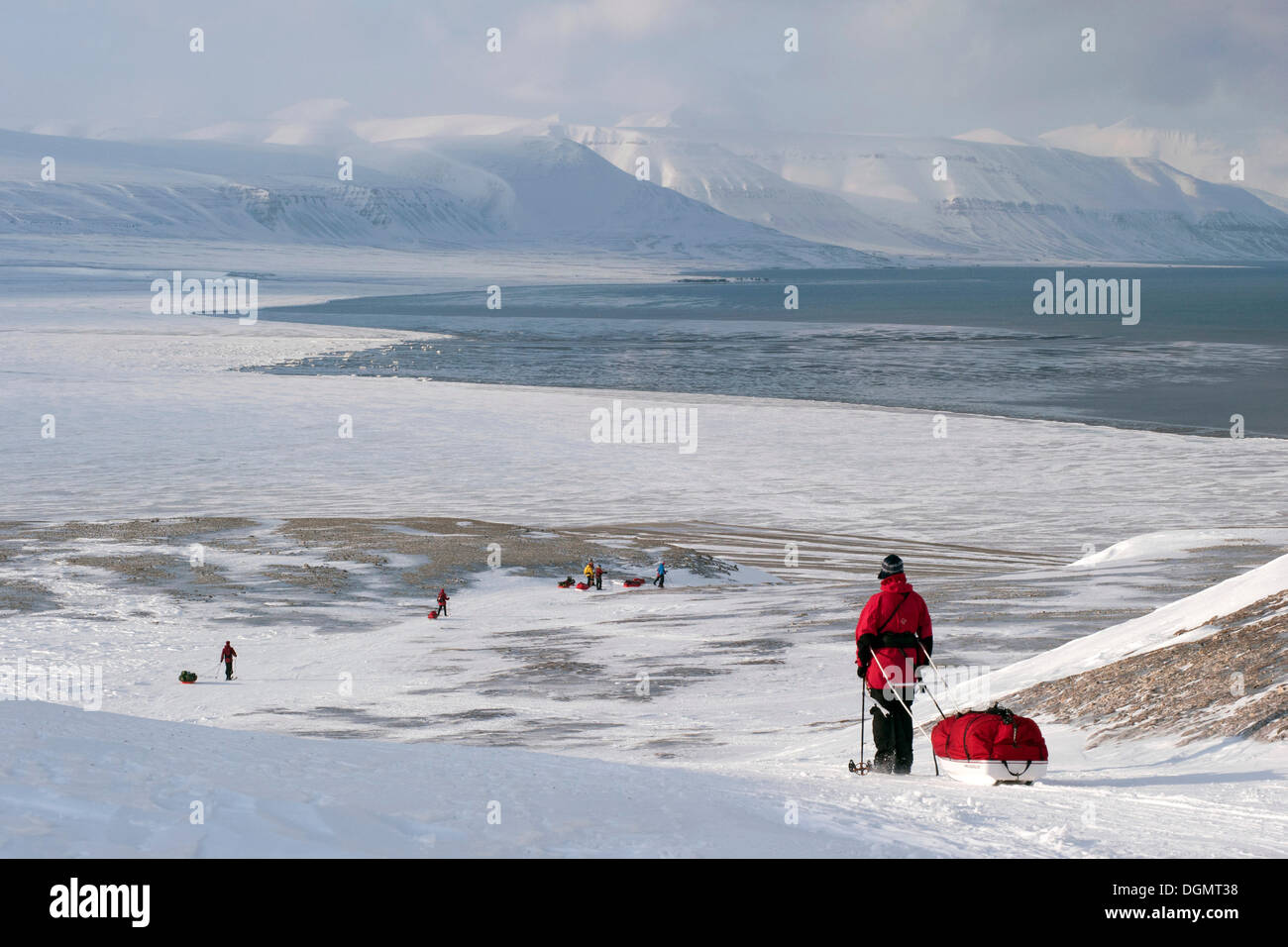 Langlaufen mit Pulkas während des Abstiegs zur Sassenfjorden, Teil des Isfjorden, in der Nähe von Fredheim, im winter Stockfoto