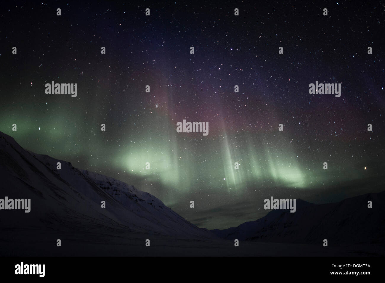 Polarnacht, grüne Nordlicht, Aurora Borealis, über dem Tal Todalen, Sternenhimmel einer mondlosen Nacht, Longyearbyen Stockfoto
