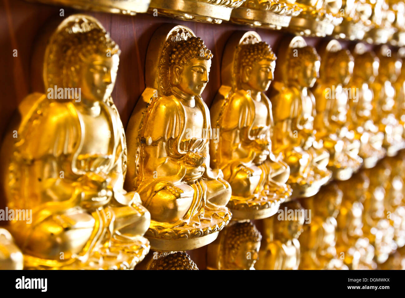 Viele kleine Buddha-Statue an der Wand im chinesischen Tempel, Thailand Stockfoto