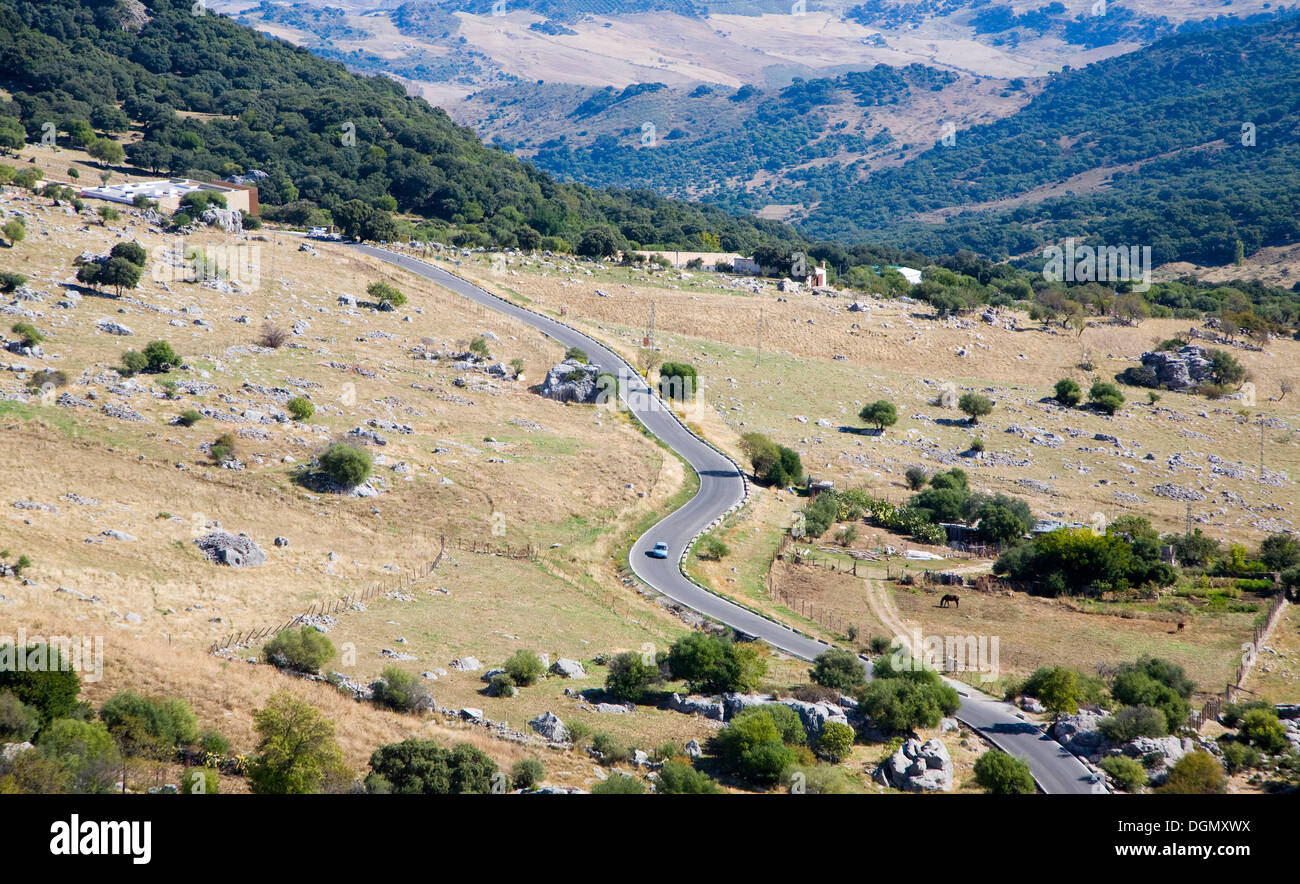 Von Grazalema Dorf gesehen Straße führt durch die Landschaft des Naturparks Sierra de Grazalema, Provinz Cadiz, Spanien Stockfoto