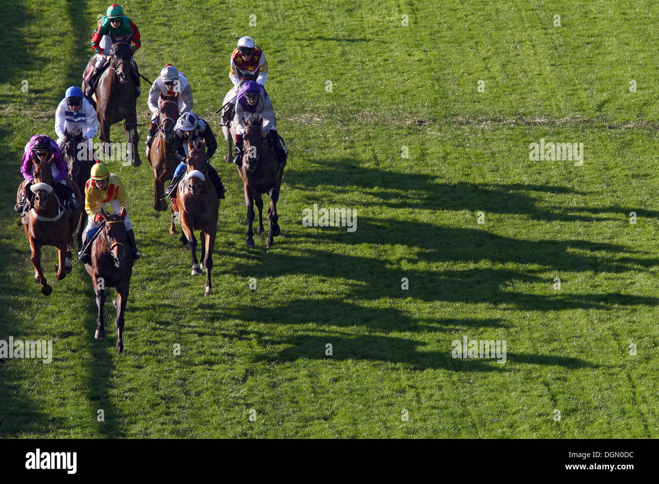 Hamburg, Deutschland, Pferde und Jockeys werfen ihre Schatten auf dem Rasen Stockfoto
