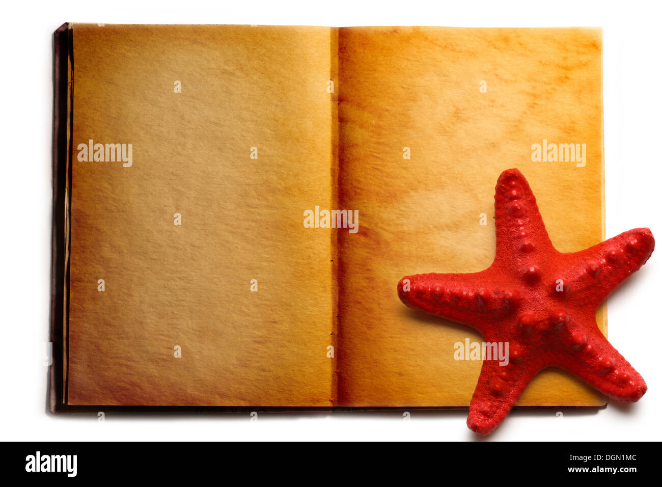 Aufgeschlagene Buch und die roten seastar Stockfoto