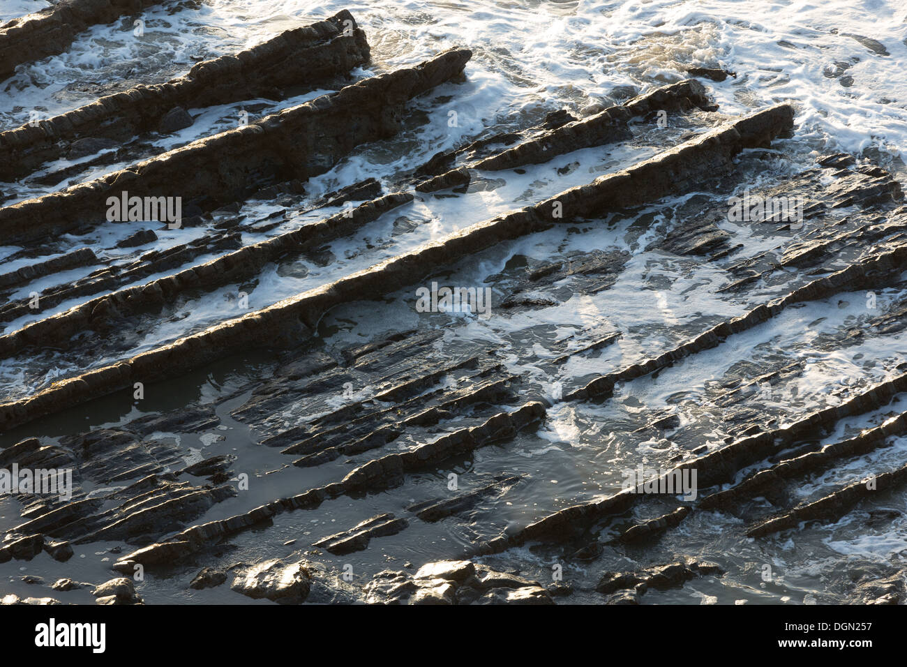 Sedimentgesteine gefaltet und an Clarach, Cardigan Bay erhoben. Stockfoto