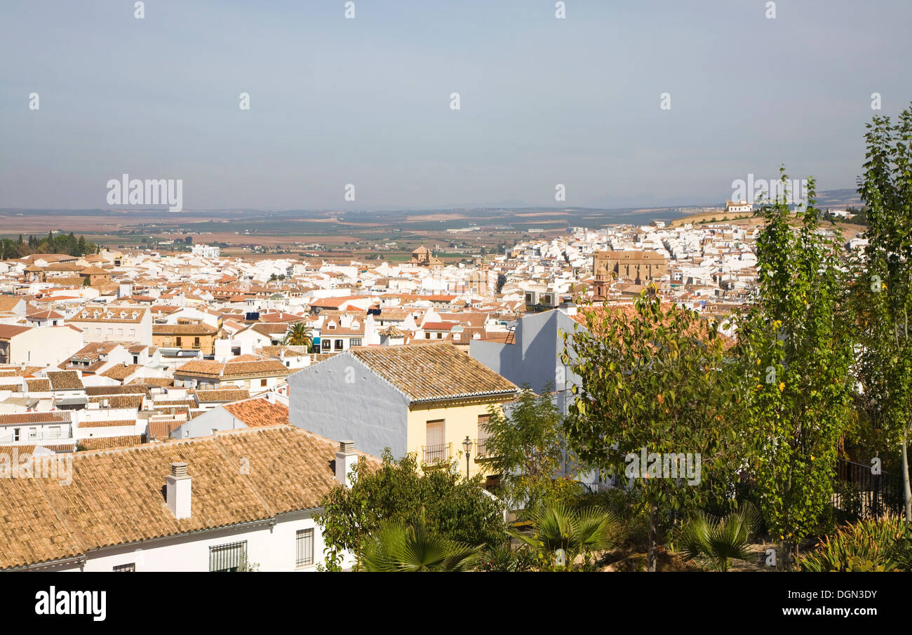 Historischen weiß getünchten Gebäuden Blick über Zentrum von Antequera, Spanien Stockfoto