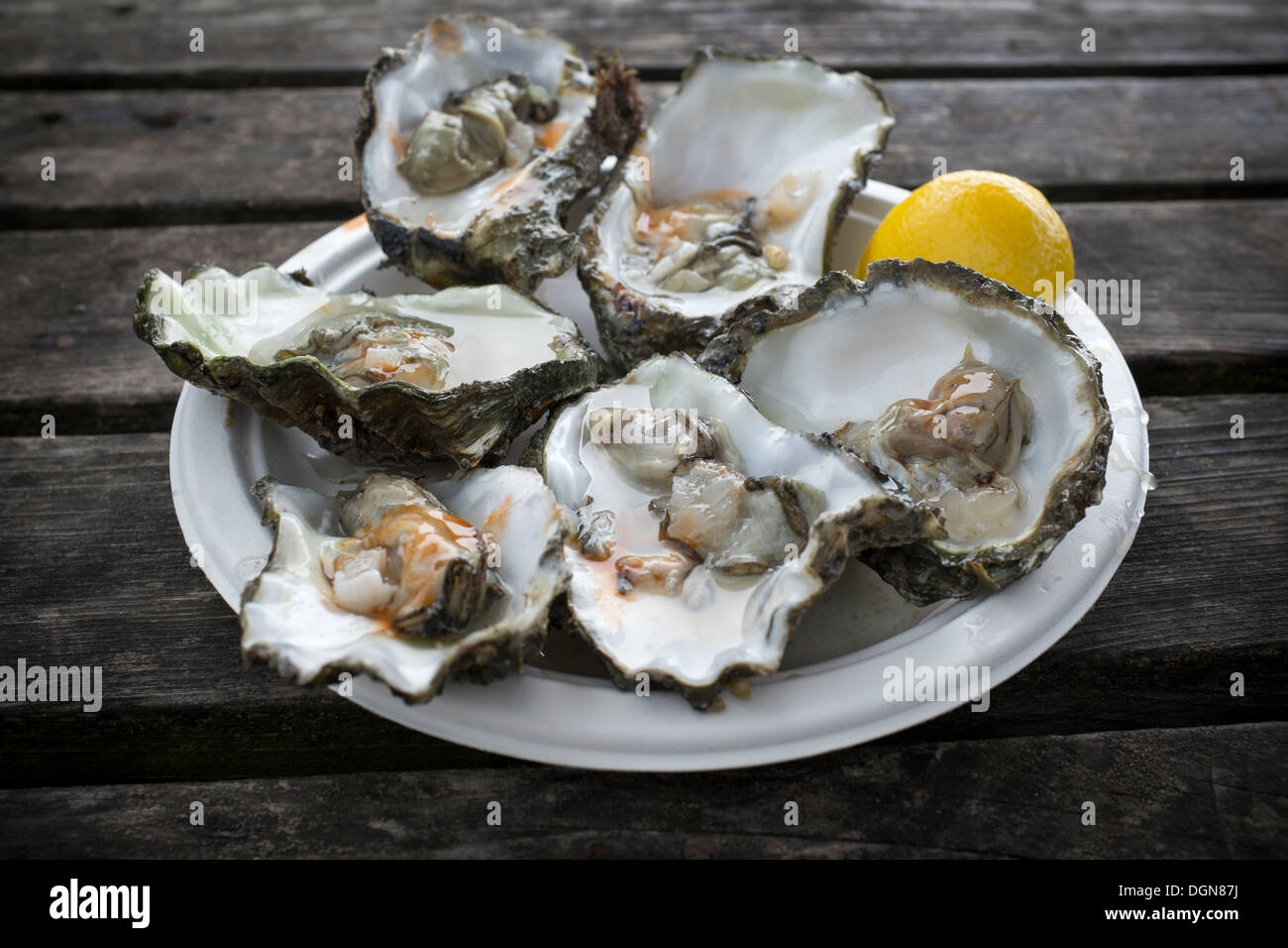 Teller mit Austern mit Zitrone und tabasco Stockfoto