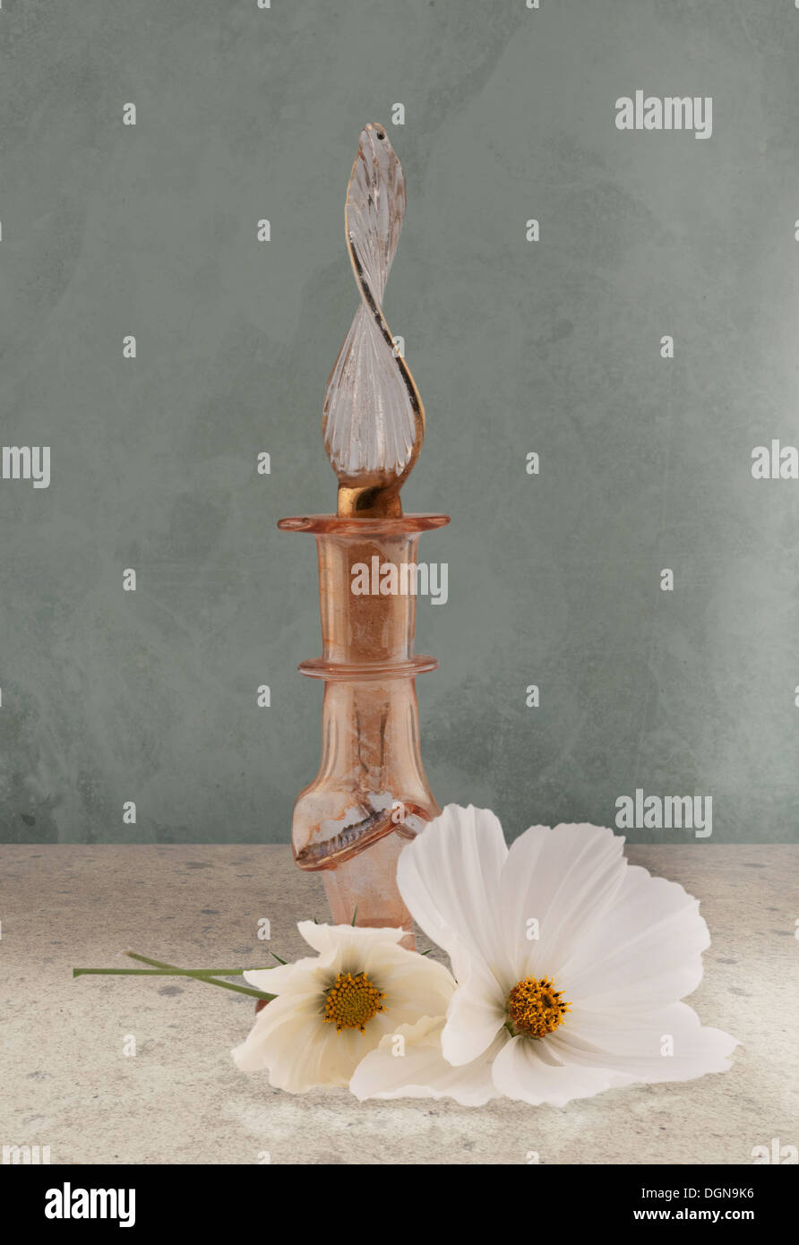 Ein zusammengesetztes Bild einer Parfüm Glasflasche mit weißen Blüten. Stockfoto