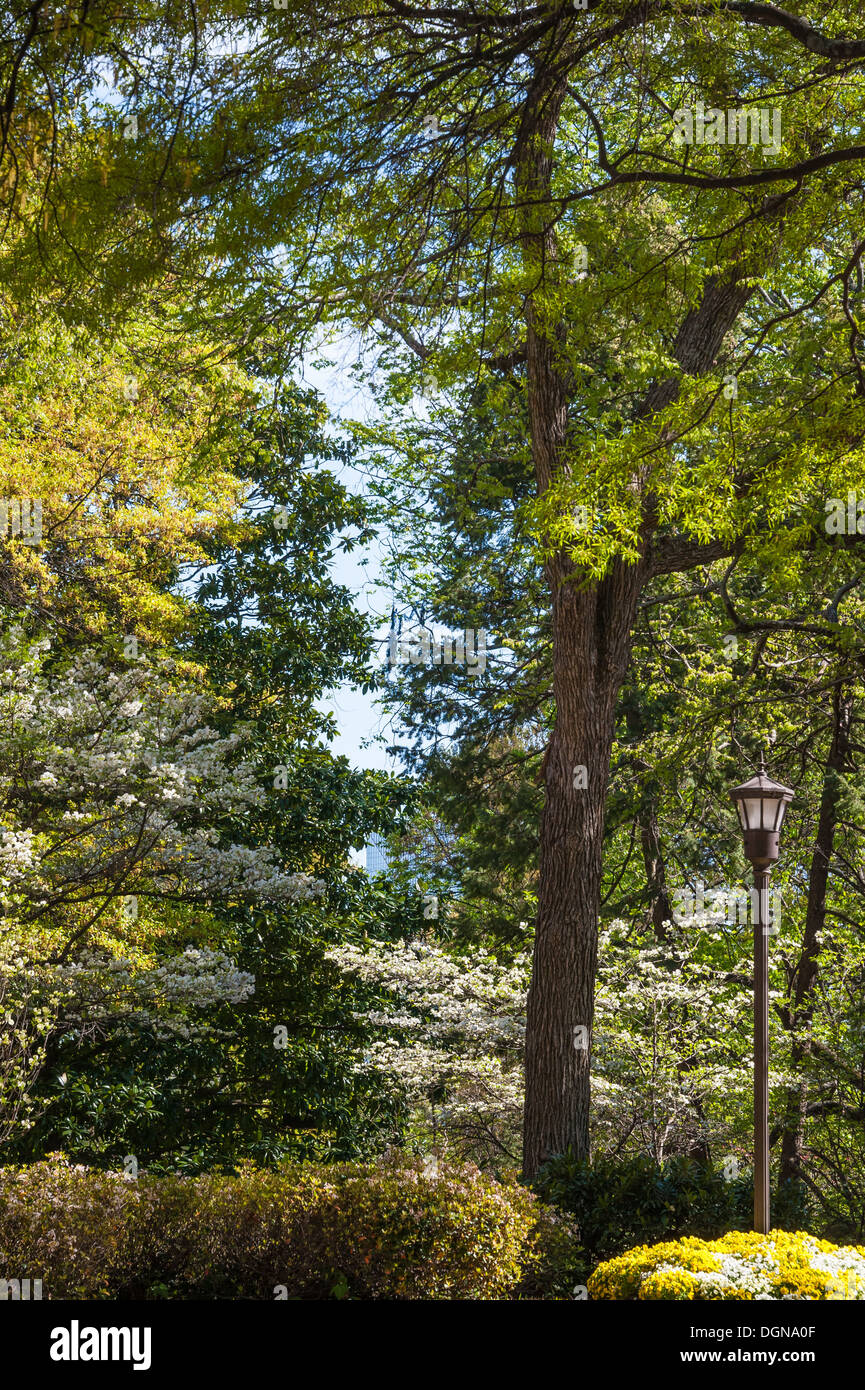 Frühlingsblüten erleuchten den Campus von Georgia Tech in Atlanta, Georgia. (USA) Stockfoto