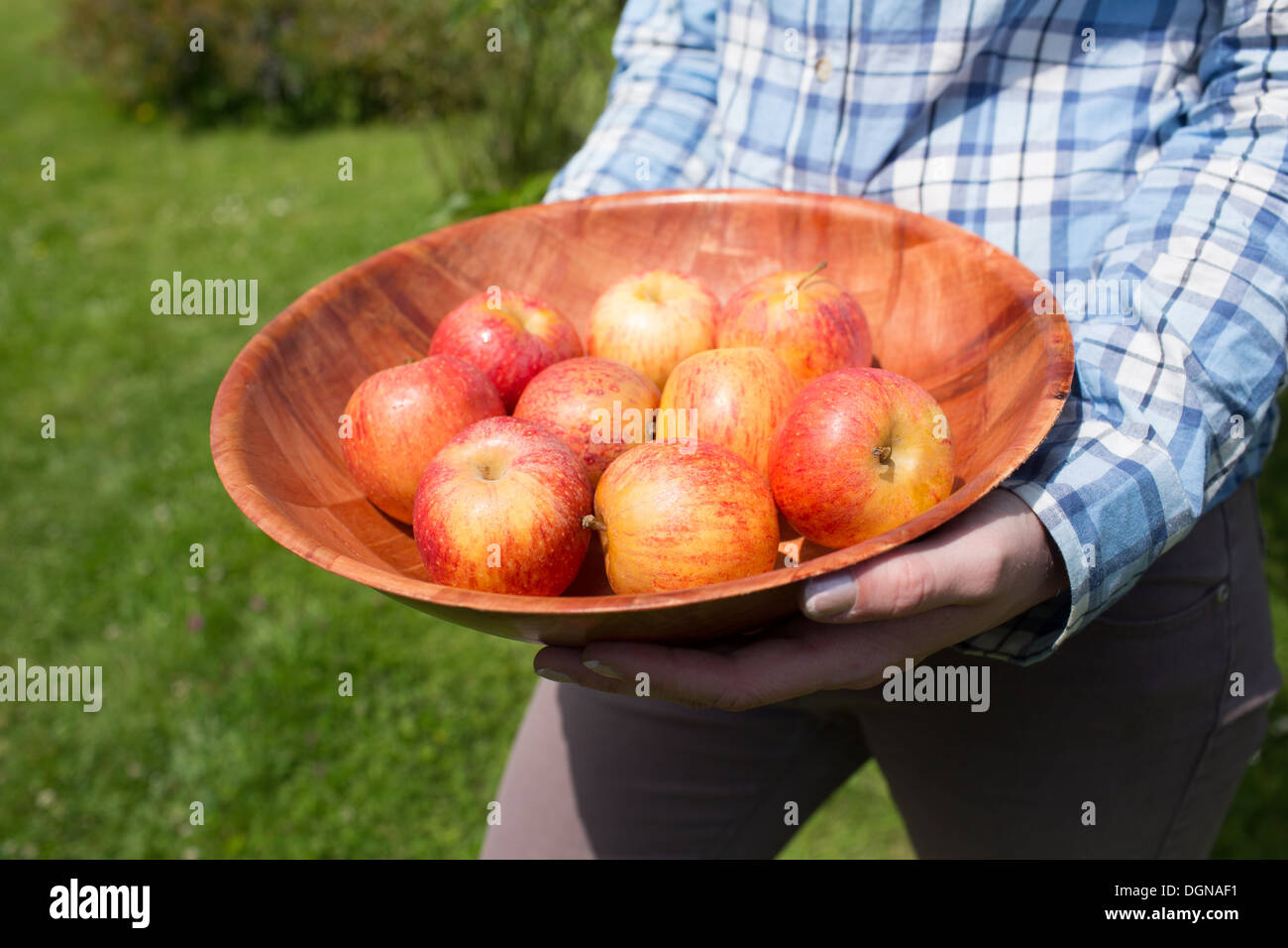 Frau hält eine Schale mit frischen roten Äpfeln Stockfoto