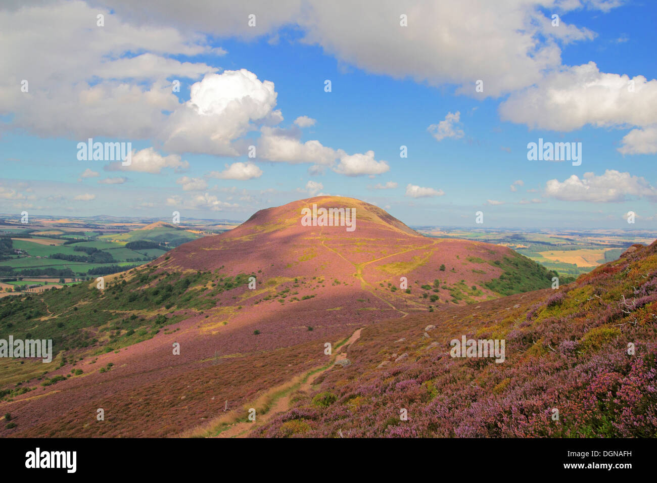 Blick auf Eildon Hügel nördlich von Mitte Eildon Hill, Eildon Hills, Grenzen, Schottland, Vereinigtes Königreich Stockfoto