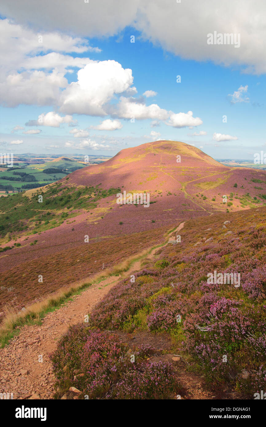 Blick auf Eildon Hügel nördlich von Mitte Eildon Hill, Eildon Hills, Grenzen, Schottland, Vereinigtes Königreich Stockfoto
