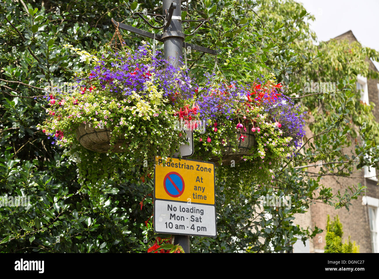 Keine Wartezeiten-Schild am Laternenpfahl mit dekorativen Blumen, Cambridge, England Stockfoto