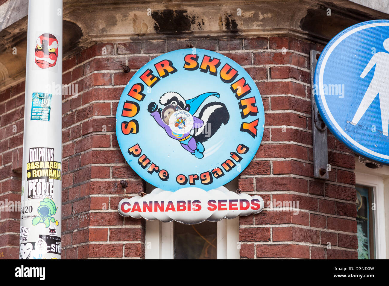 Blaues Schild außerhalb Shop in Amsterdam, Holland, Werbung "Super Skunky" pure Bio Cannabis-Samen zum Verkauf Stockfoto