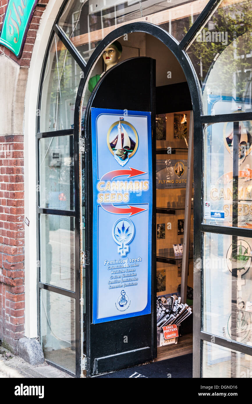 Außen-Shop in Amsterdam, Holland, Werbung reinem Cannabissamen zum Verkauf zu unterzeichnen Stockfoto
