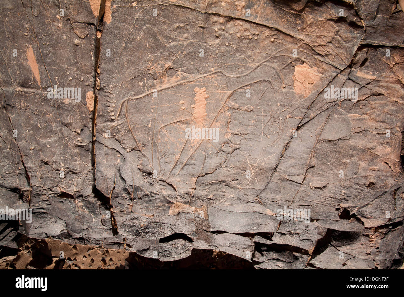 Prähistorische Felszeichnungen am Oued Mestakou auf der Tata Akka Road in Marokko. Felsen-Kunst Stockfoto