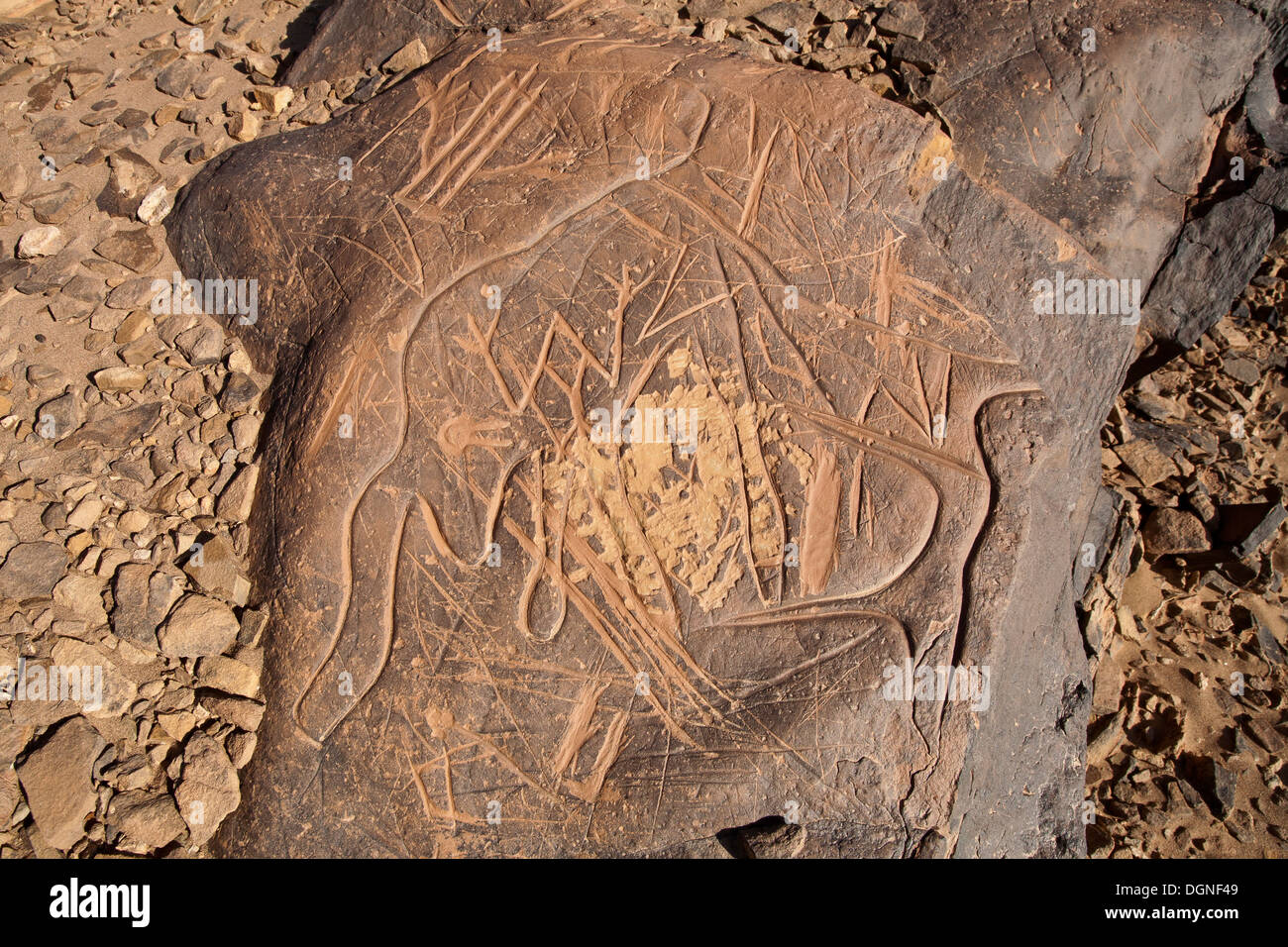 Prähistorische Felszeichnungen am Oued Mestakou auf der Tata Akka Road in Marokko. Felsen-Kunst Stockfoto