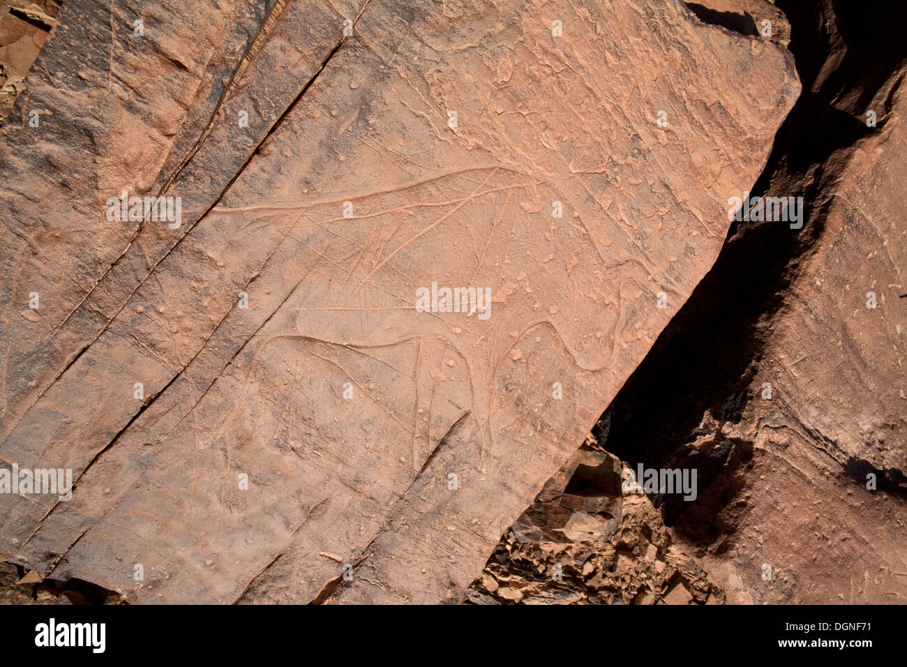 Prähistorische Felszeichnungen am Oued Mestakou auf der Tata Akka Road in Marokko. Felsen-Kunst Stockfoto