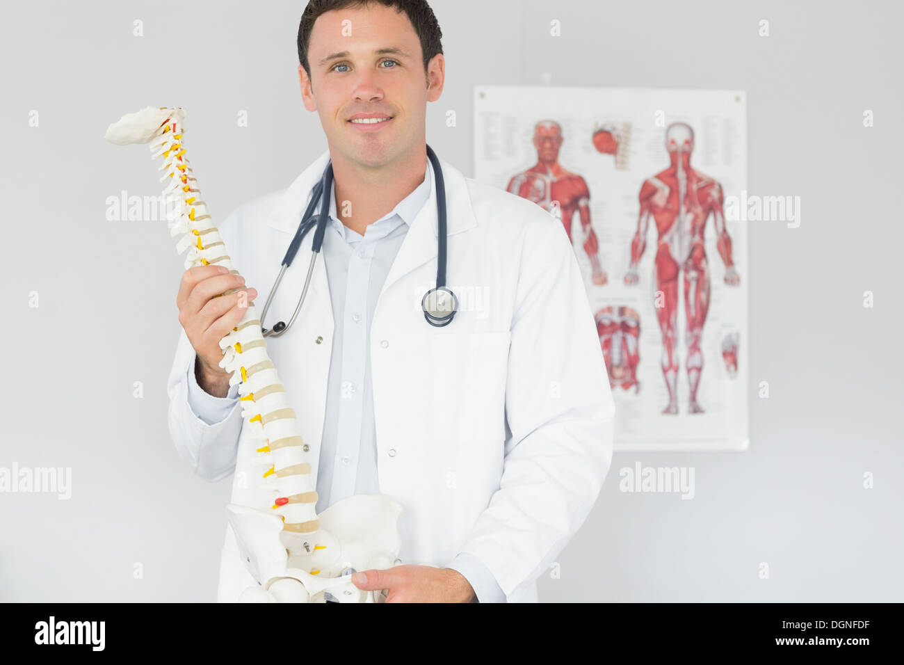 Hübscher Inhalt Arzt hält Skelettmodell Stockfoto