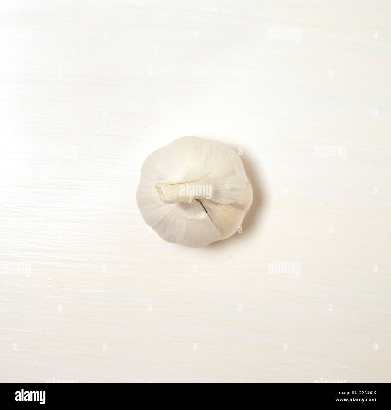 Knoblauch auf weiß Stockfoto