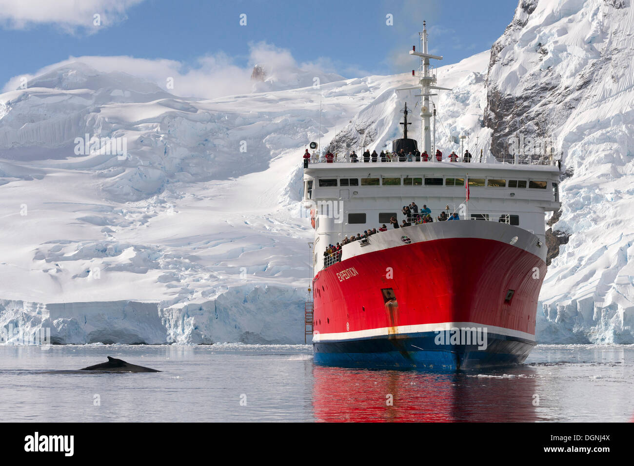 Buckelwal und die Expedition Kreuzfahrt Schiff MS Expedition, Charlotte Bay, antarktische Halbinsel, Antarktis Stockfoto