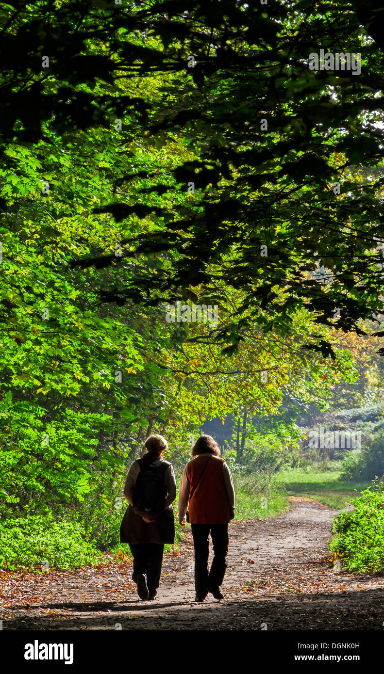 Zwei Frauen, die bei einem Spaziergang im Wald, im sonnigen Herbstwetter, Berlin Stockfoto