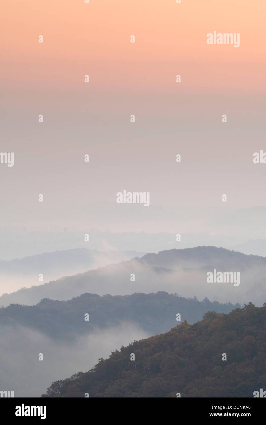 Morgennebel über Thale, Harz Mountains, Sachsen-Anhalt Stockfoto